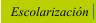 Escolarización